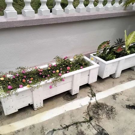 阳台民宿 16 Terrace Kluang Bagian luar foto