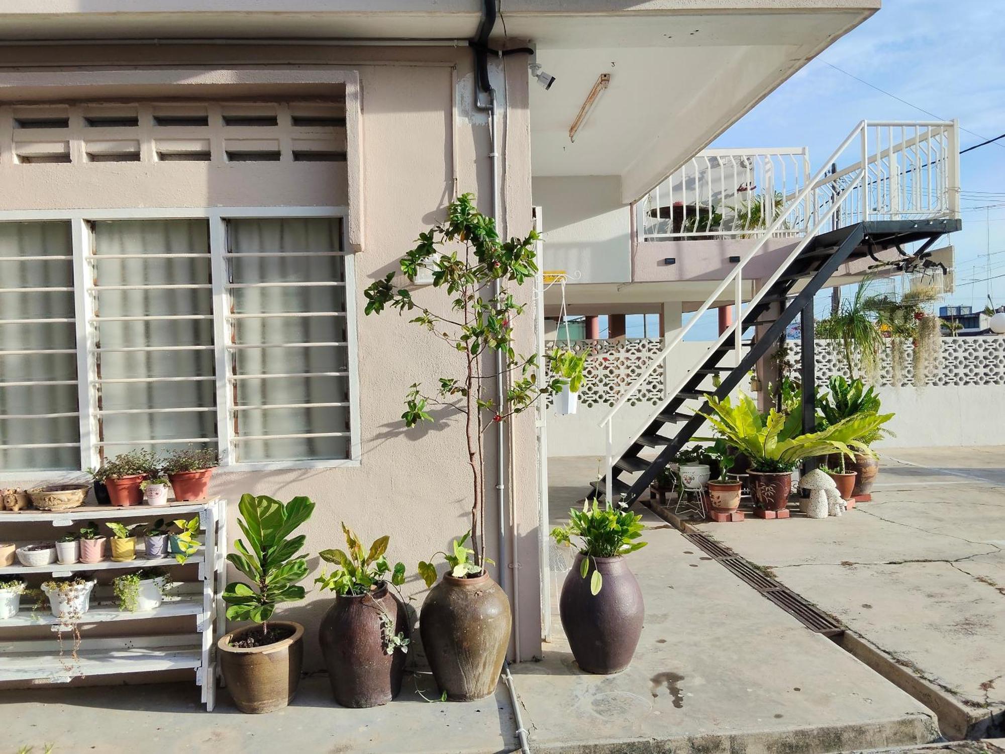 阳台民宿 16 Terrace *
